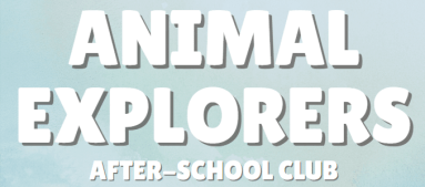 animal explore