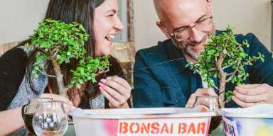 Bonsai Workshop at Gun Hill Publick House