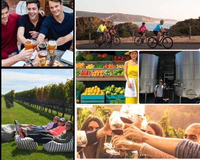 Brewery & Vineyard Tour – Pedal thro