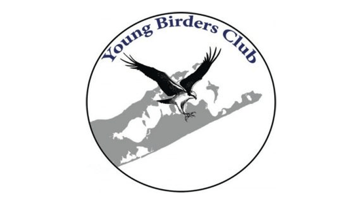 Young-Birders-Club