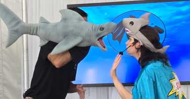 NYA Shark Party_1200x628-7